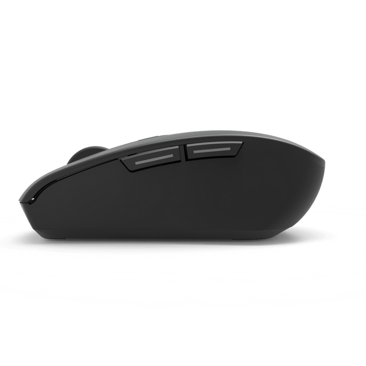 THE MOUSE